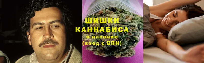 Конопля Ganja  закладка  Александровск 